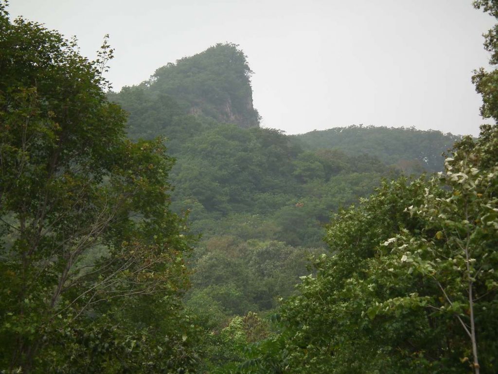 DSCF3415.JPG