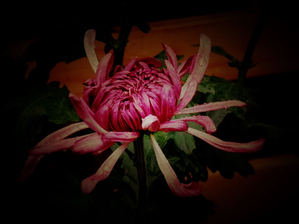 P9100227.JPG