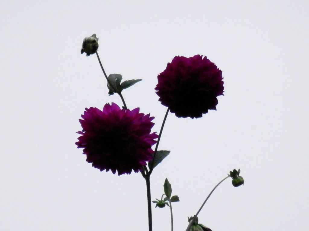P9140344.JPG
