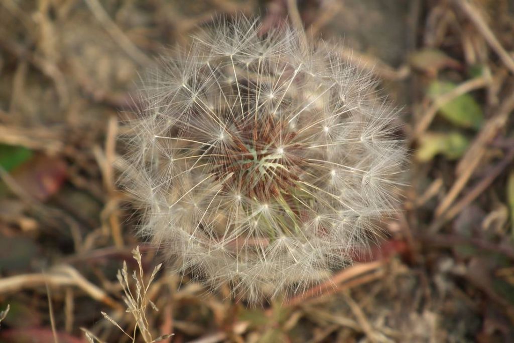 DSCF9392.JPG