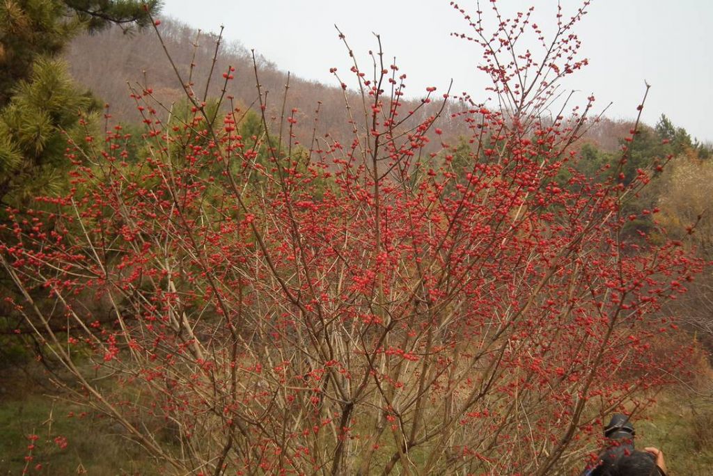 DSCF9788.JPG