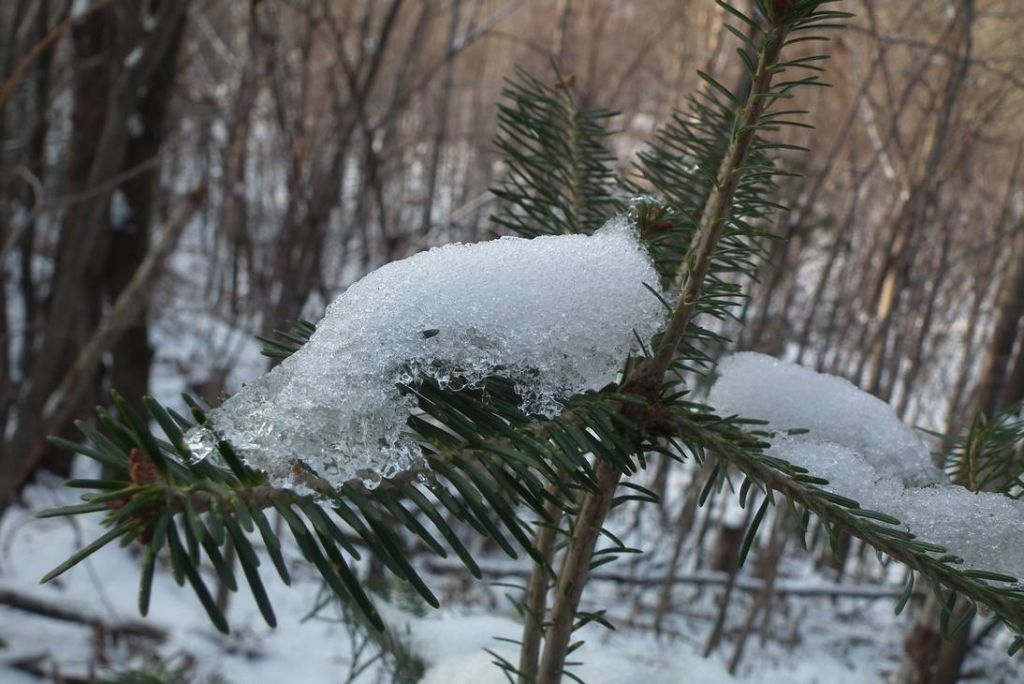 DSCF0799.JPG