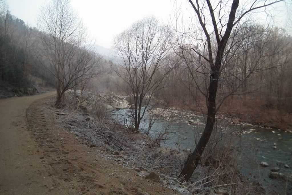 DSCF0700.JPG