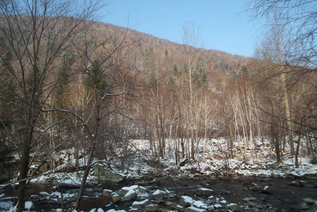 DSCF0737.JPG