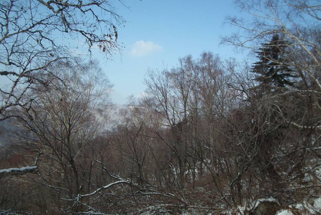 DSCF0922.JPG