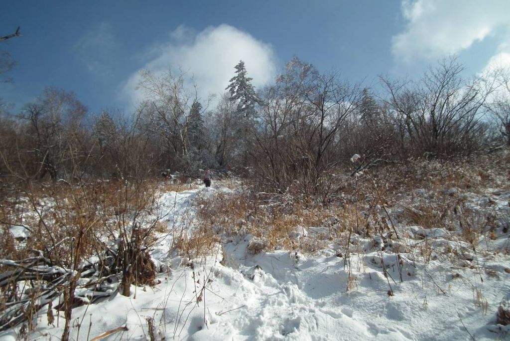 DSCF0931.JPG