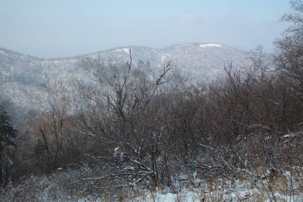 DSCF0949.JPG