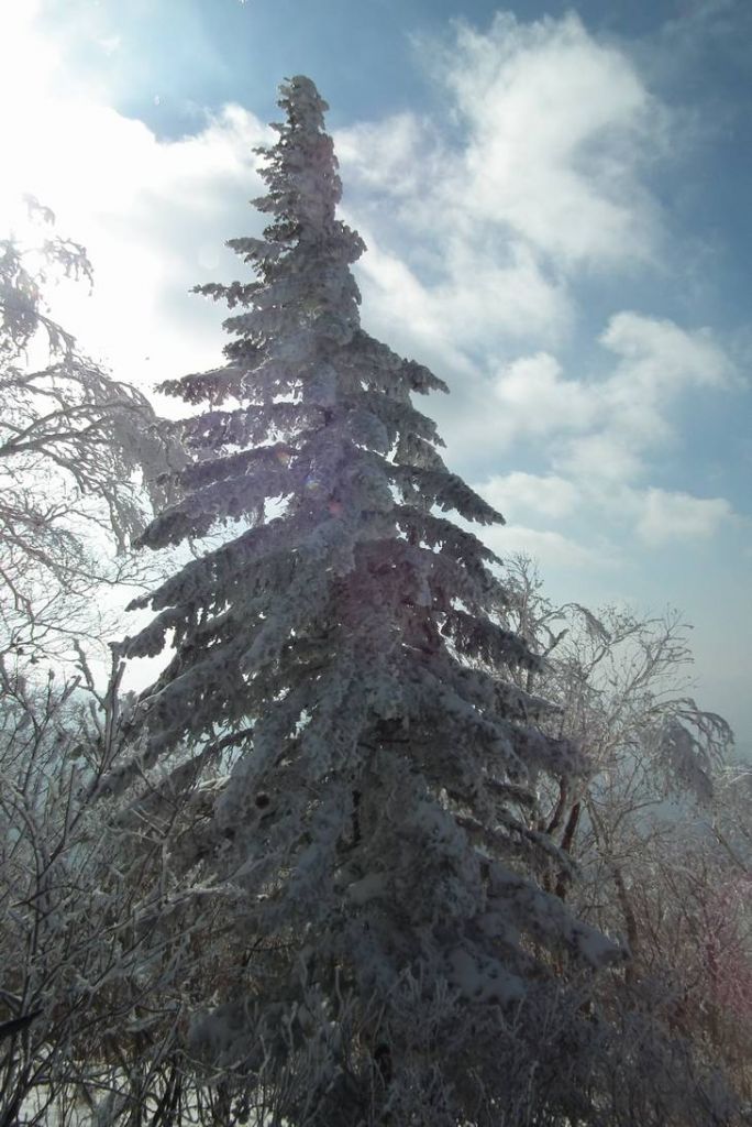 DSCF1022.JPG