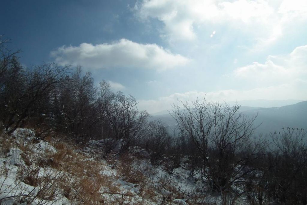 DSCF0977.JPG
