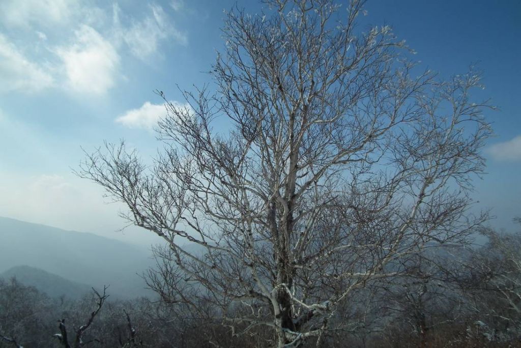 DSCF0978.JPG