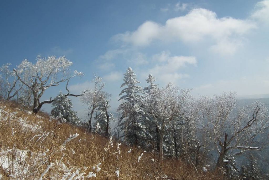 DSCF1030.JPG