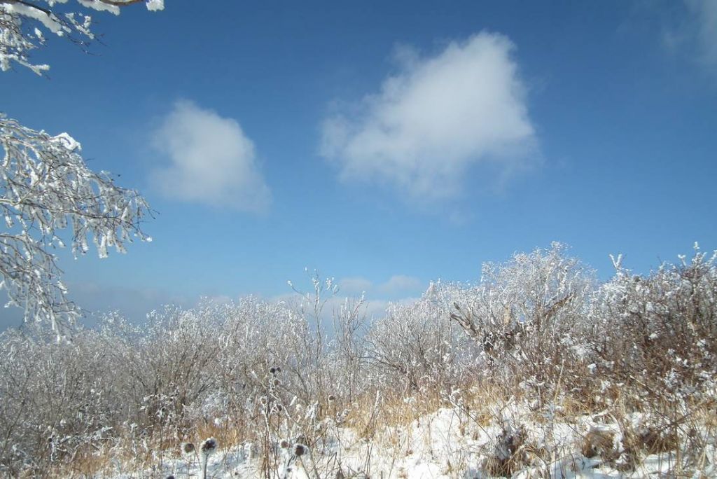 DSCF1031.JPG