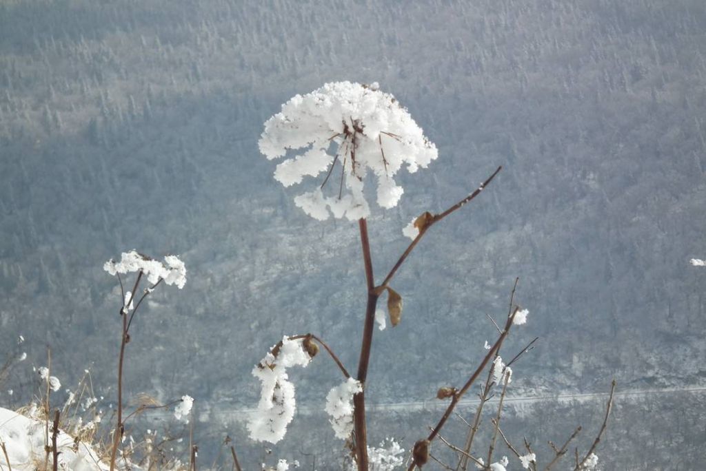 DSCF1087.JPG