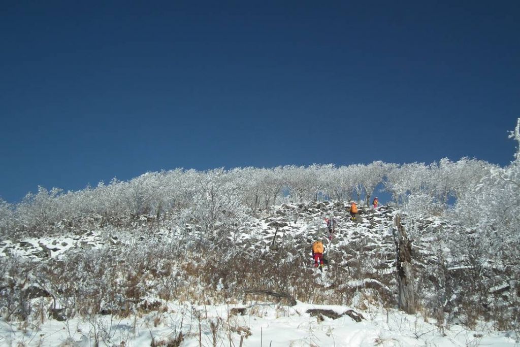 DSCF1097.JPG