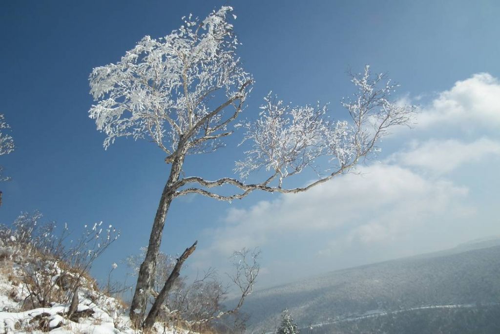DSCF1059.JPG