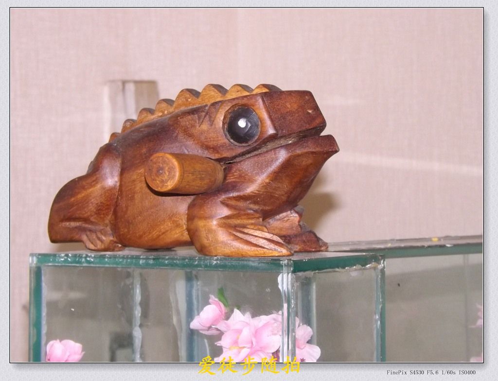 DSCF6574.JPG