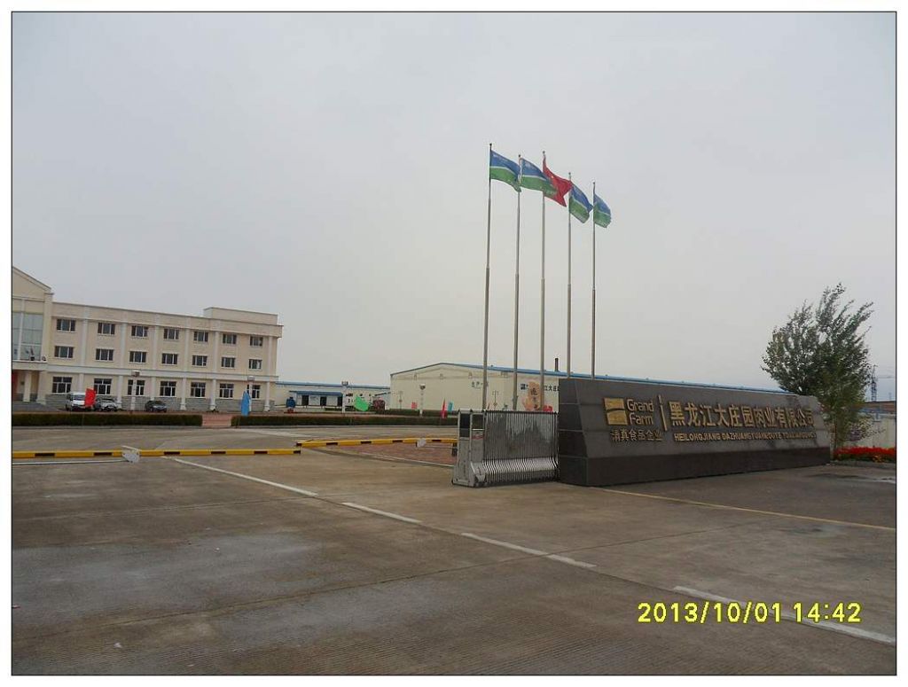 SDC12603.jpg