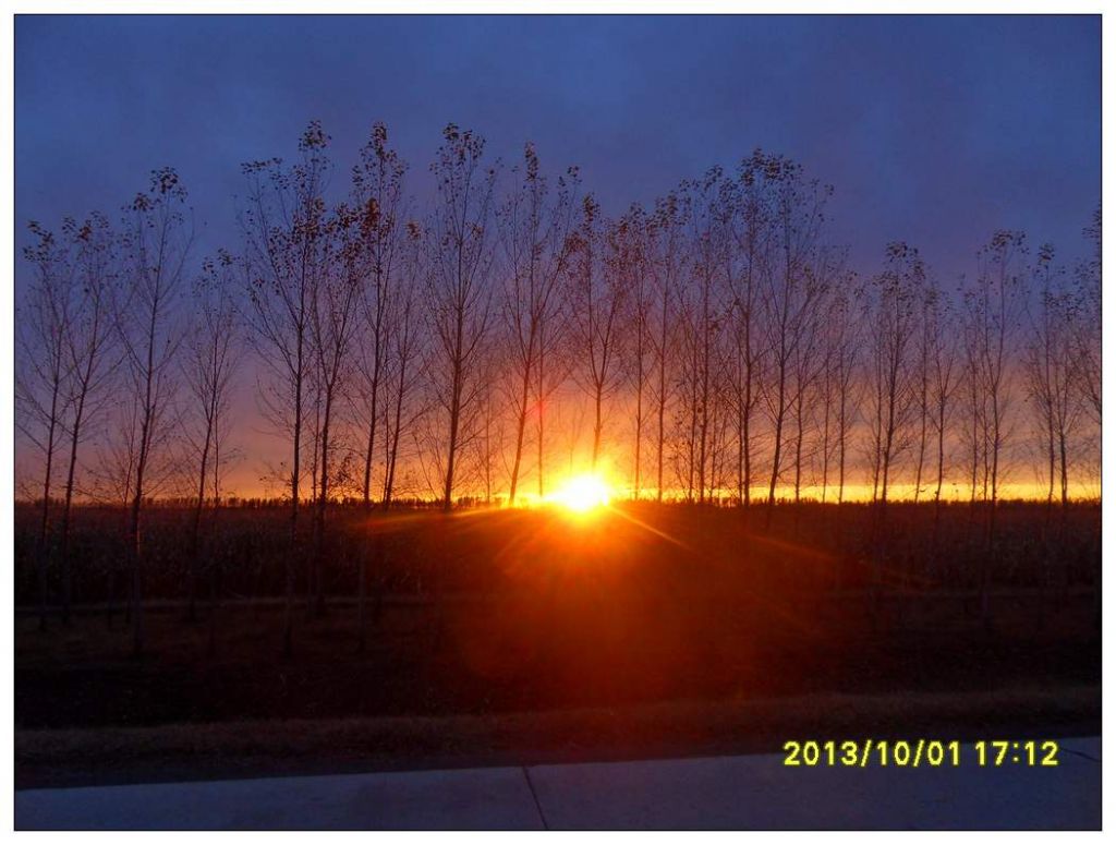 SDC12631.jpg