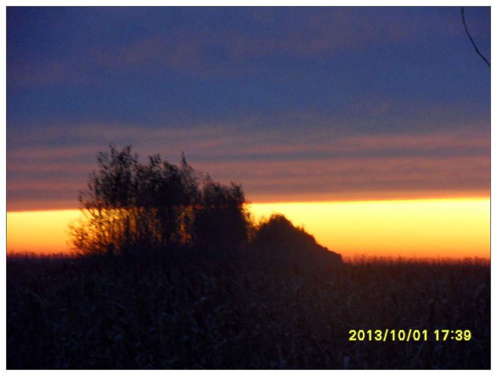 SDC12661.jpg