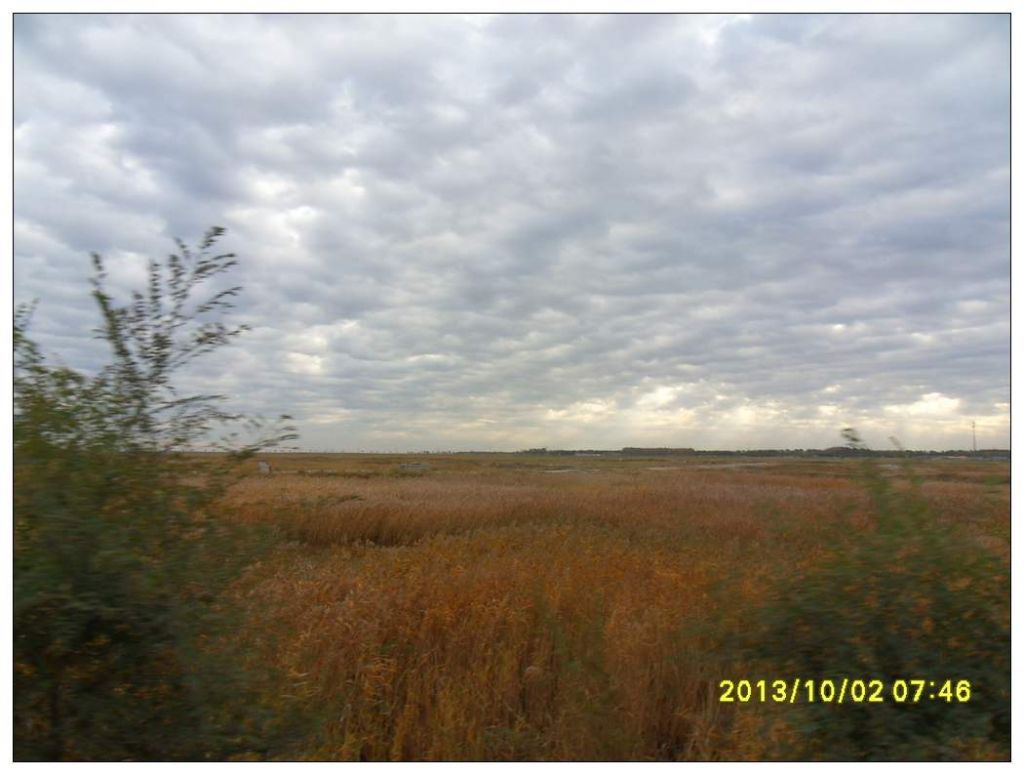 SDC12684.jpg