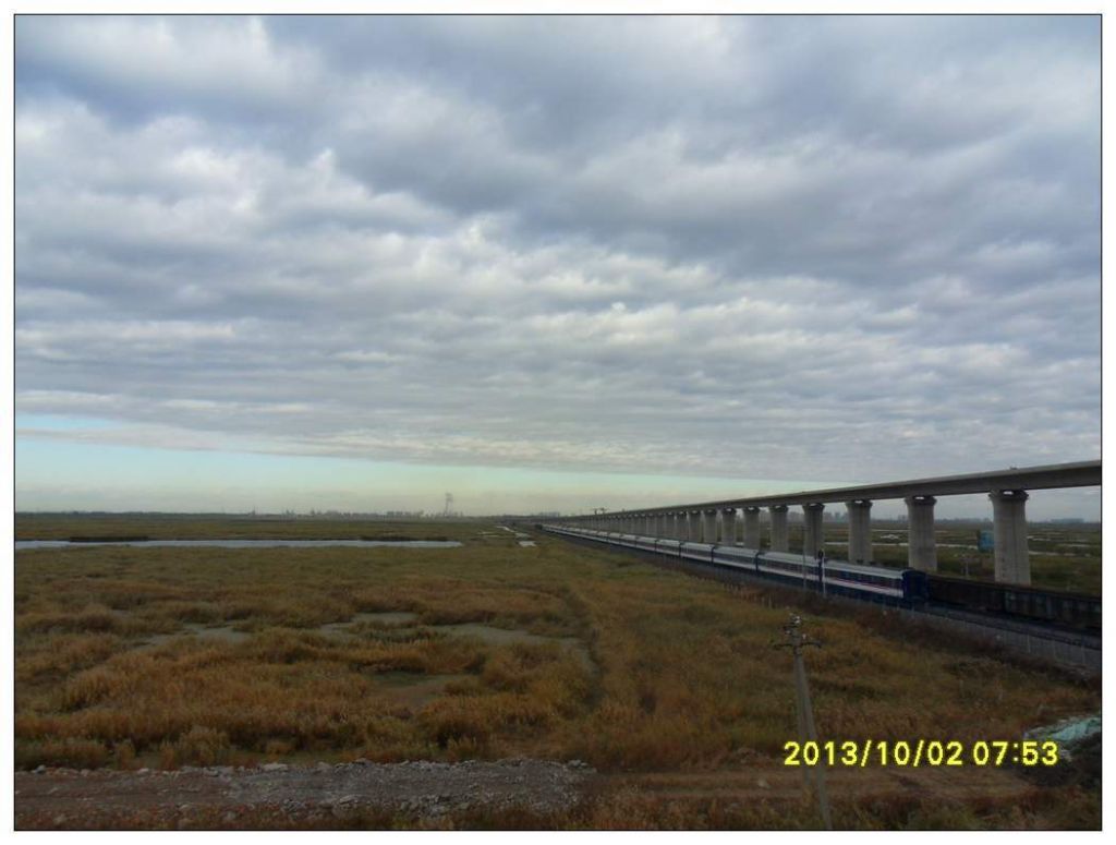 SDC12691.jpg
