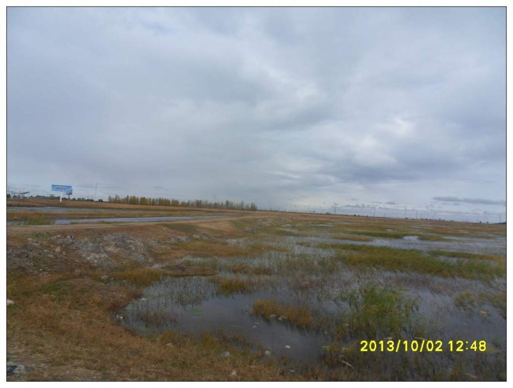 SDC12737.jpg