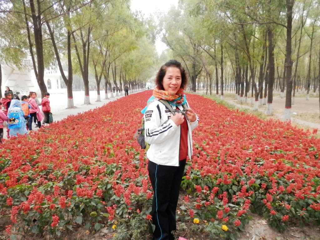 PA100420.JPG