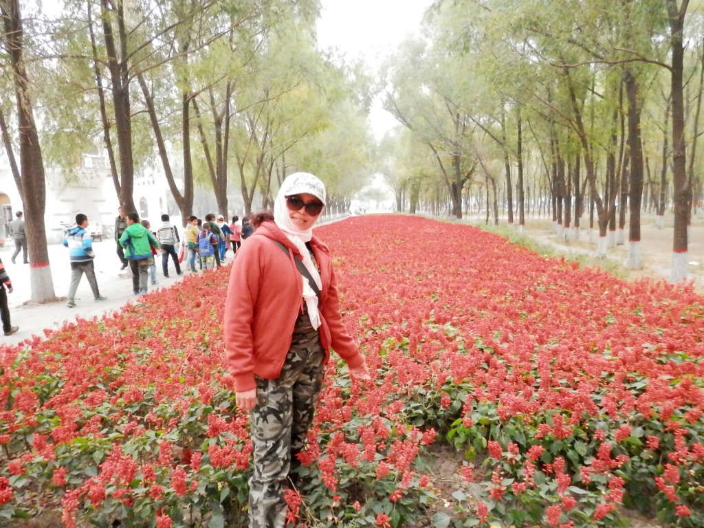 PA100422.JPG