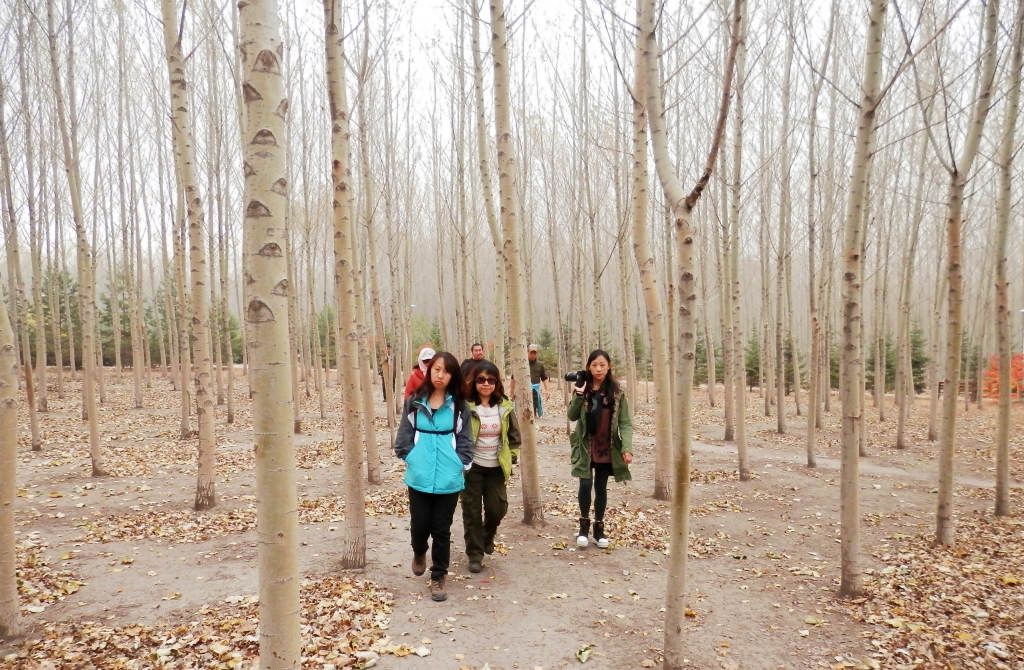 PA100448.JPG