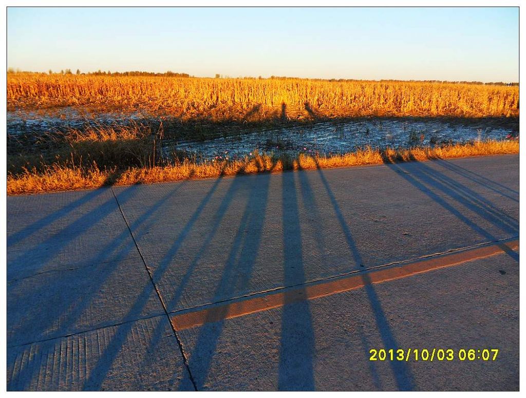 SDC12791.jpg