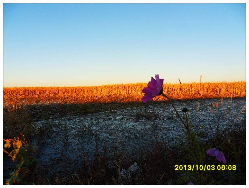SDC12792.jpg