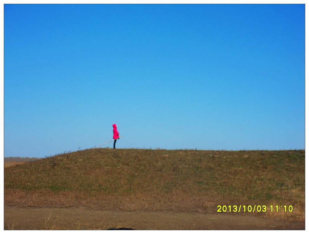 SDC12871.jpg