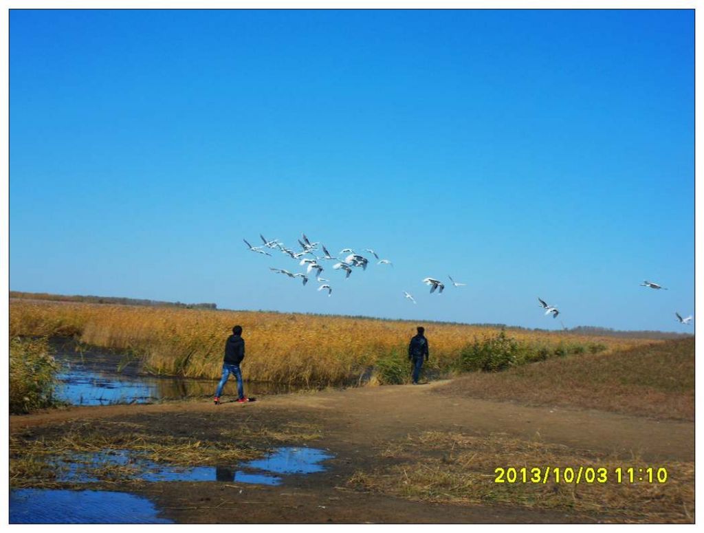 SDC12872.jpg
