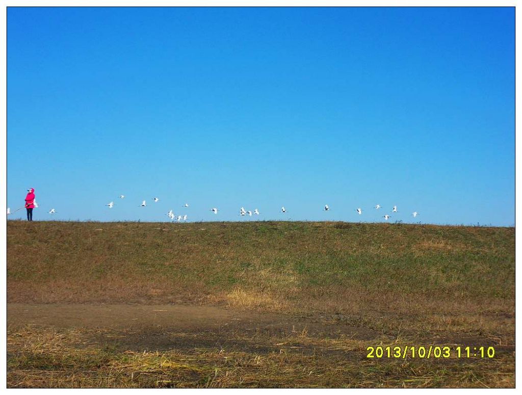 SDC12874.jpg