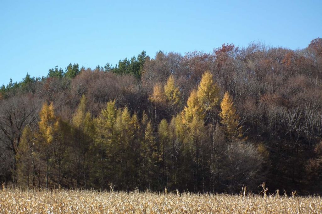DSCF7888.JPG