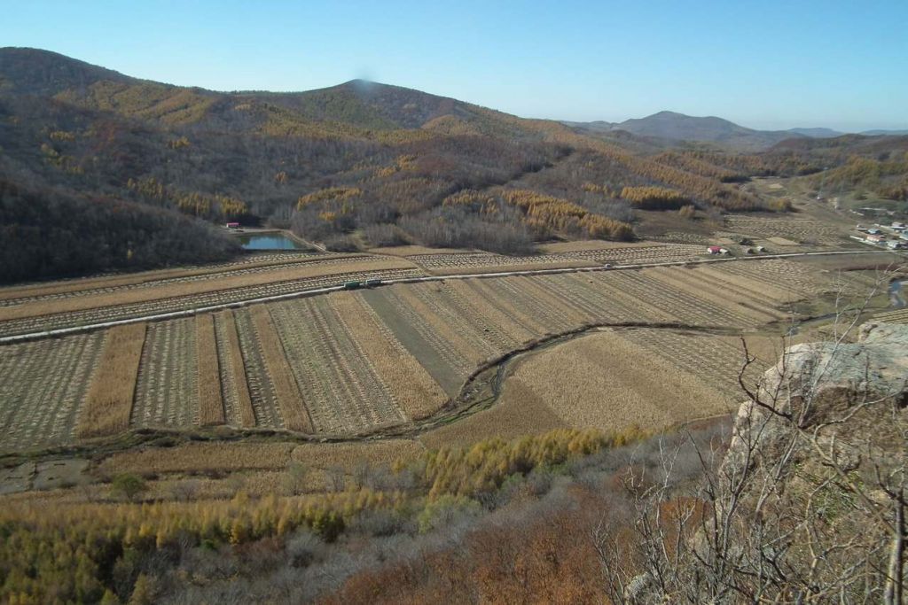 DSCF7960.JPG