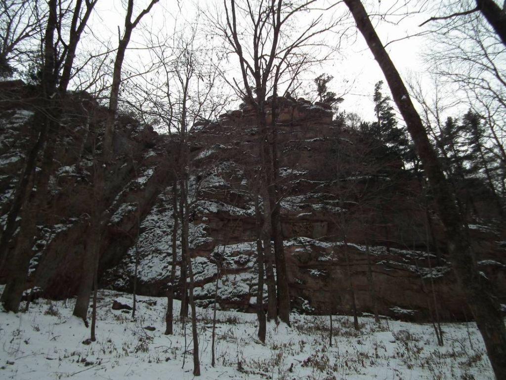 DSCF8385.JPG