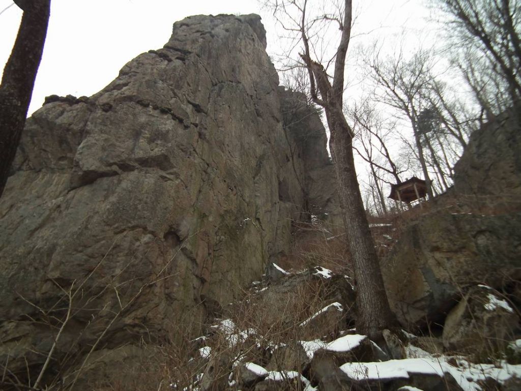 DSCF9652.JPG
