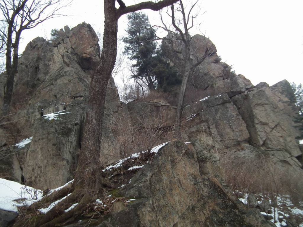 DSCF9635.JPG