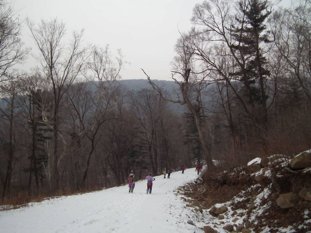 DSCF9708.JPG