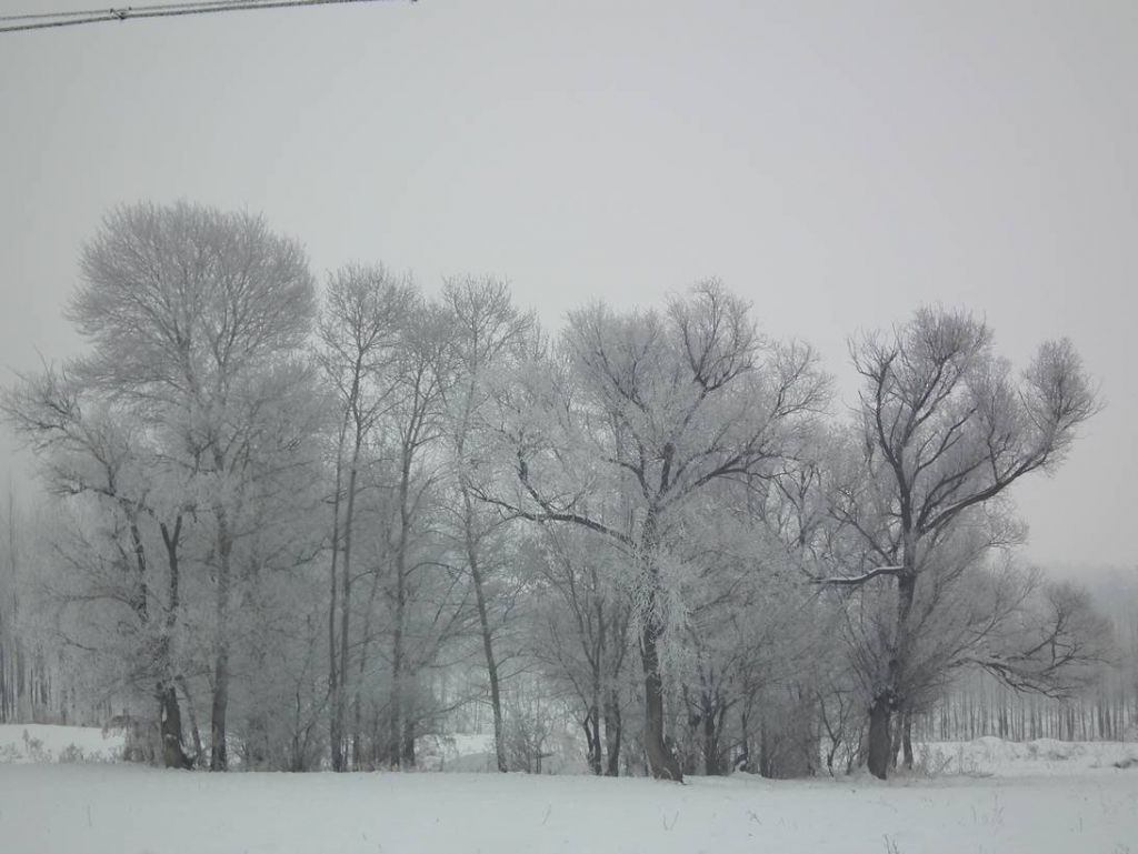 DSCF0971.JPG