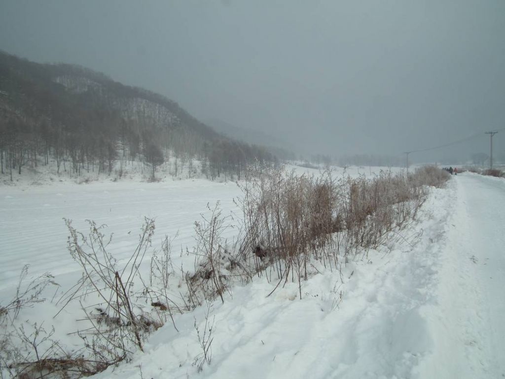 DSCF0987.JPG