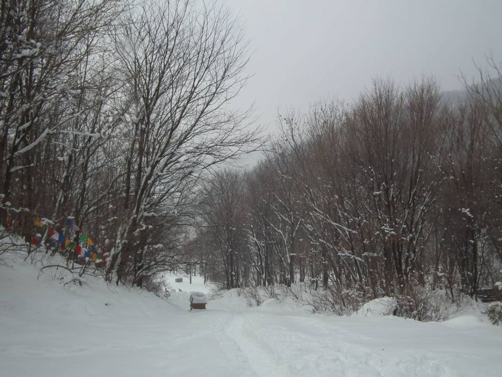 DSCF1037.JPG