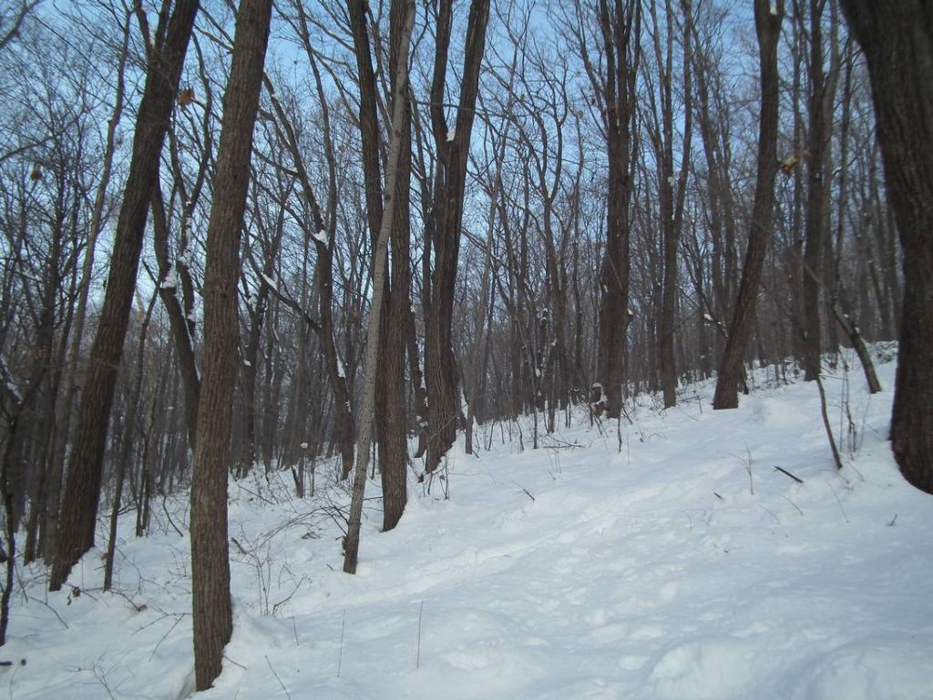 DSCF1085.JPG