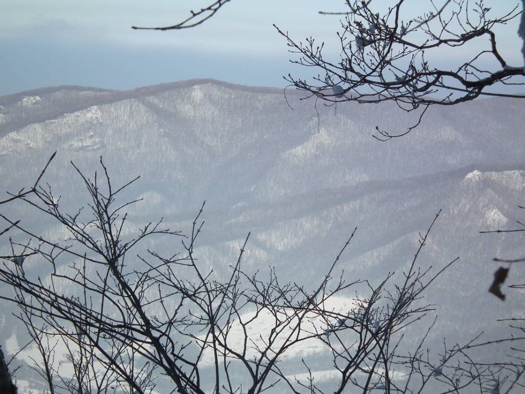 DSCF1214.JPG