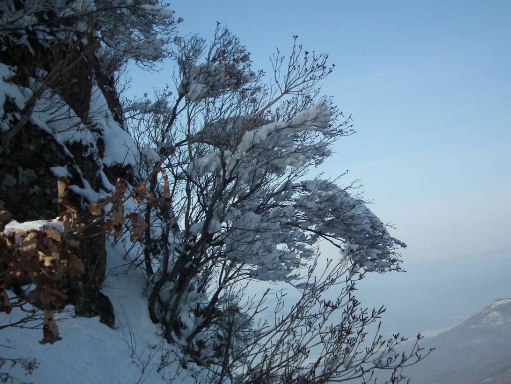 DSCF1268.JPG