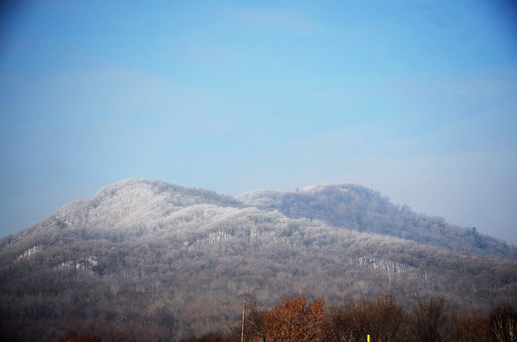 DSC_1001.jpg