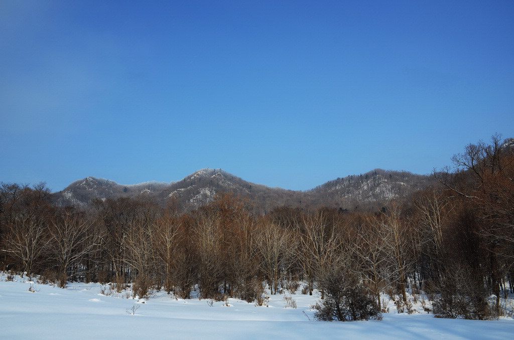 DSC_1034.jpg