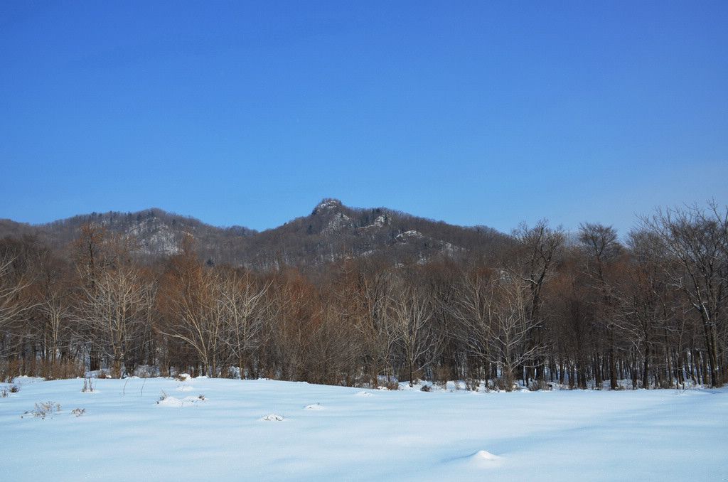 DSC_1037.jpg