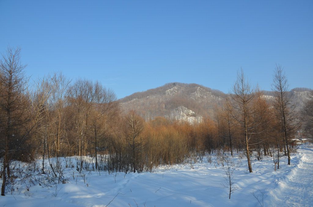 DSC_1089.JPG